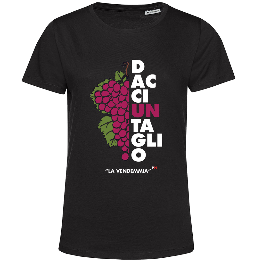 "La Vendemmia" Parallelo24