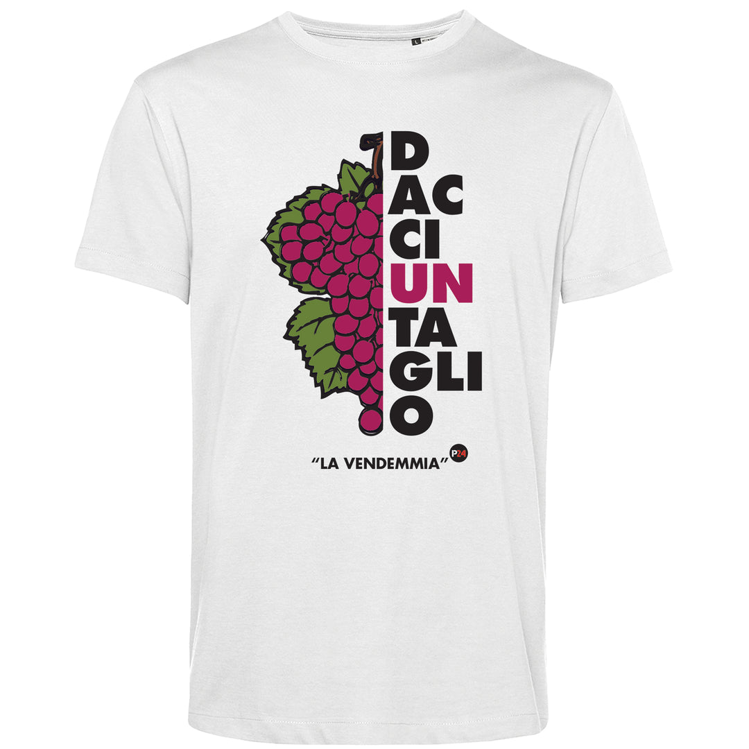 "La Vendemmia" Parallelo24