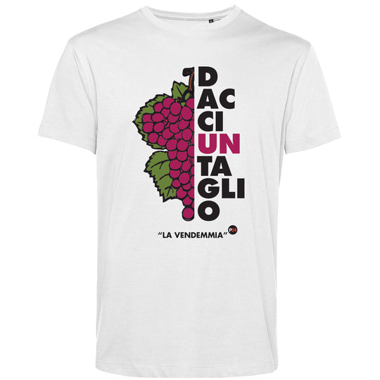 "La Vendemmia" Parallelo24