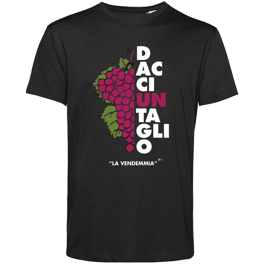 "La Vendemmia" Parallelo24